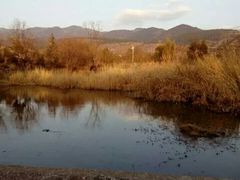 -清溪水库