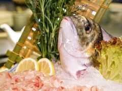 -官塘陈记鱼生·潮汕砂锅粥·牛肉火锅(潮枫路总店)