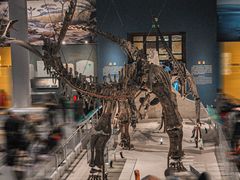 -国家自然博物馆