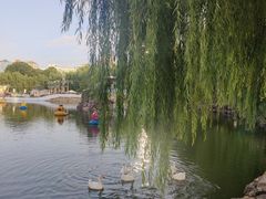 -团结湖公园