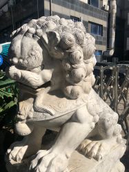-欧扬医疗美容