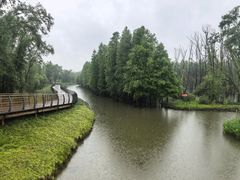 -小六农家乐(崇明西沙湿地店)