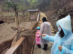 -栾川竹海野生动物园