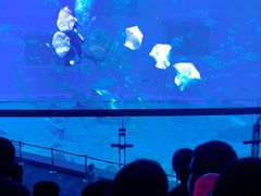 -日照世帆赛基地