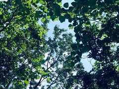 -长春市南湖公园