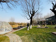 -Supine Bistro溯泮餐厅