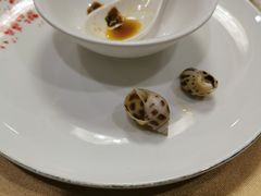 -新龙船黄浦江餐饮游船官方自营店