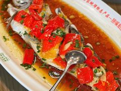 -丹江渔村(望京店)