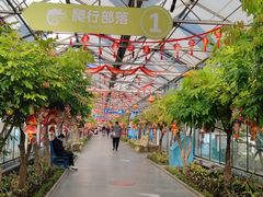 -南宫五洲植物乐园