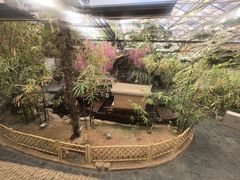 -世外桃源农庄·德清土菜(兴康南路店)