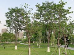 -西海子公园