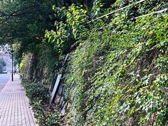 -临安城遗址(太庙遗址)