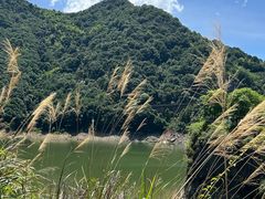 -泽雅景区