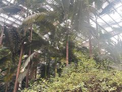 -龙达温泉生态城