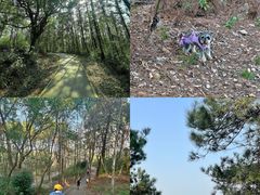 -青龙山国家森林公园