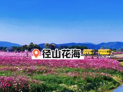 -径山花海