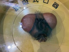 -上海昆虫博物馆