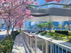 -深圳湾万象城(南山店)