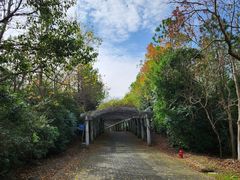 -上海海湾国家森林公园