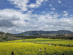 -光明小镇欢乐田园