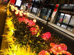 -中央广播电视总台(光华路办公区)