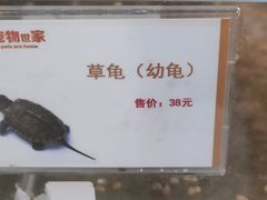 -宠物世家(仲盛世界商城店)