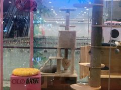 -吾悦广场(天津和平店)