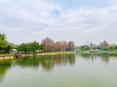 -四海公园(南山区)