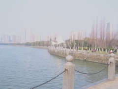-燕鸣岛