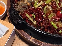 -老板恋上鱼(恒隆广场店)