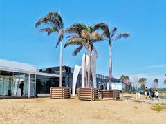 -天津东丽湖风景区