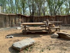 -北京野生动物园