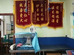 -恒幸动物医院·急重症转诊中心·神经内外科·CT核磁