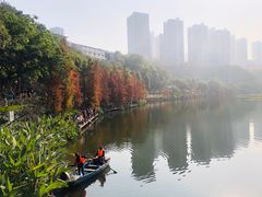 -重庆彩云湖湿地公园