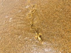 -白沙湾海滩