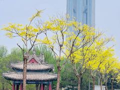 -北京奥林匹克公园