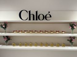 -SALON DE VANHADA