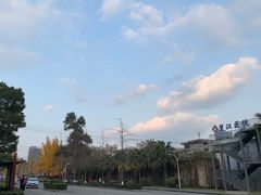-四川大学(望江校区)