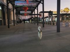 -婺源站