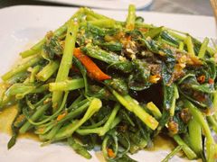 -真浪大家乐海鲜餐馆
