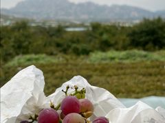 -大泽山风景名胜区