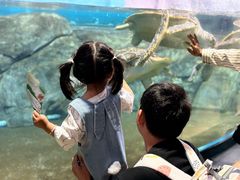-福州罗源湾海洋世界旅游区