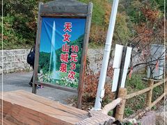 -天女山森林公园