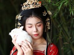 -西安青龙寺遗址景区