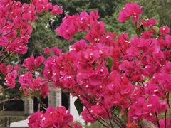 -深圳国际园林花卉博览园