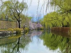 -颐和园