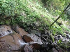 -火炉山森林公园