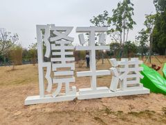 -长洲岛