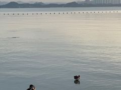 -深圳湾公园(南山区)