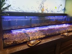 -透明思烤·自助烤肉海鲜火锅(东部星悦天地店)